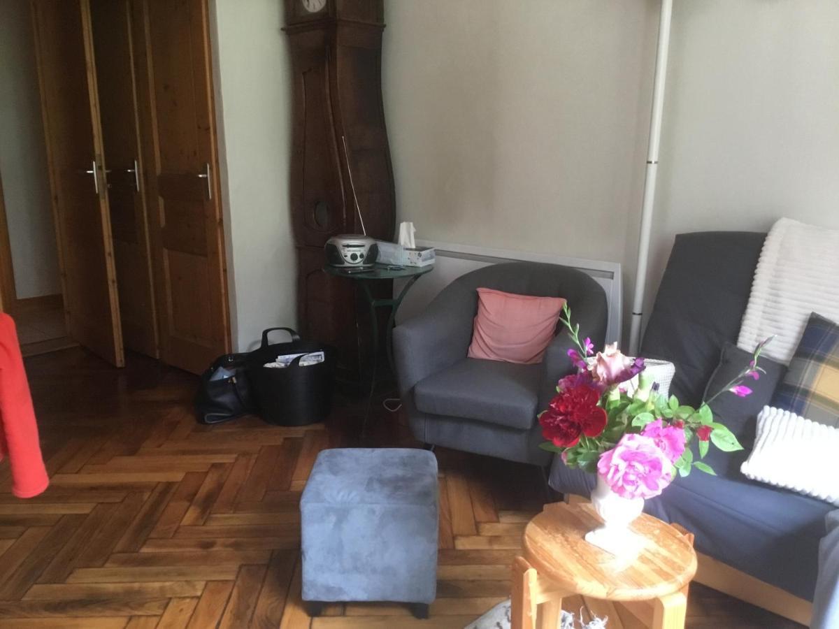 Appartement Typique,Chaleureux Et Pratique شامونكس المظهر الخارجي الصورة